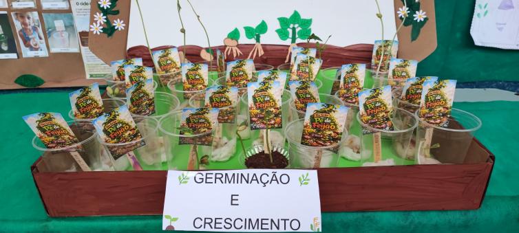 Imagem principal da Notícia