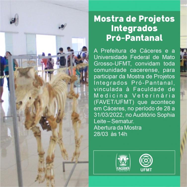 Imagem principal da Notícia