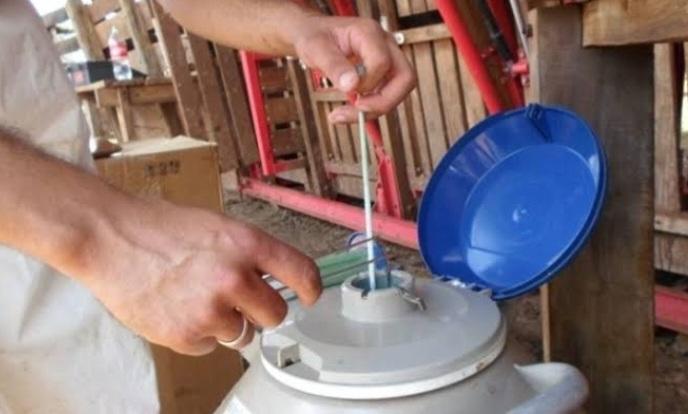 Imagem principal da Notícia