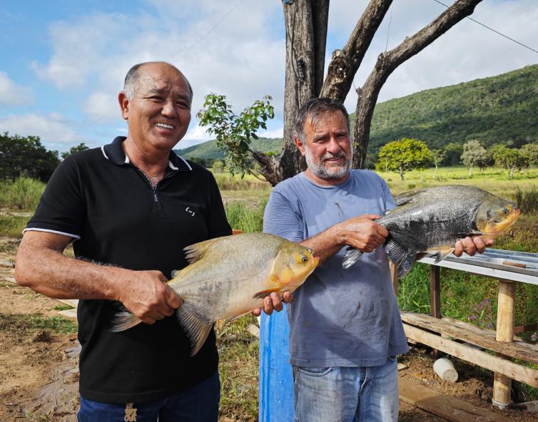 Imagem principal da Notícia